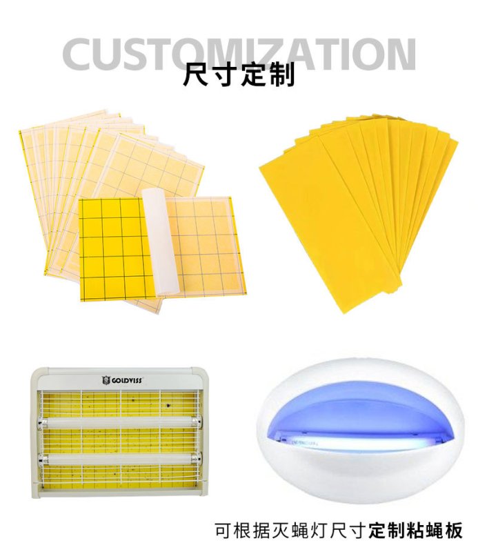 Sticky Trap for Mosquitoes